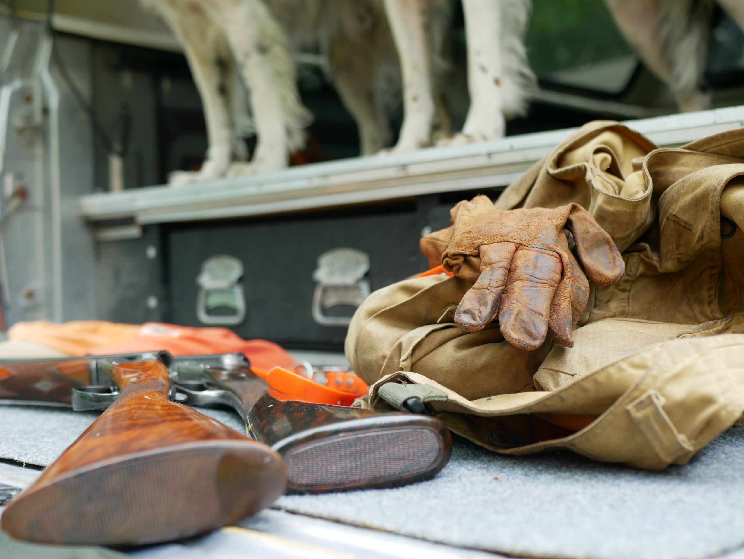 Upland bird hunts start and end at the tailgate.
